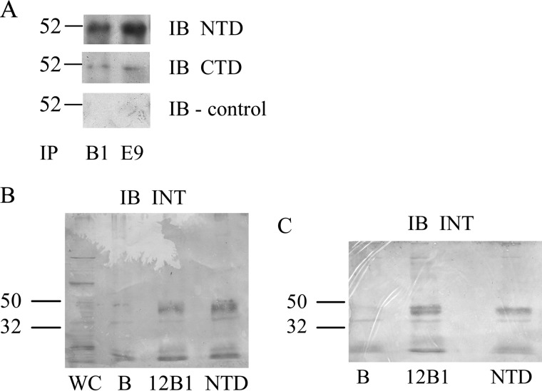 FIGURE 7.