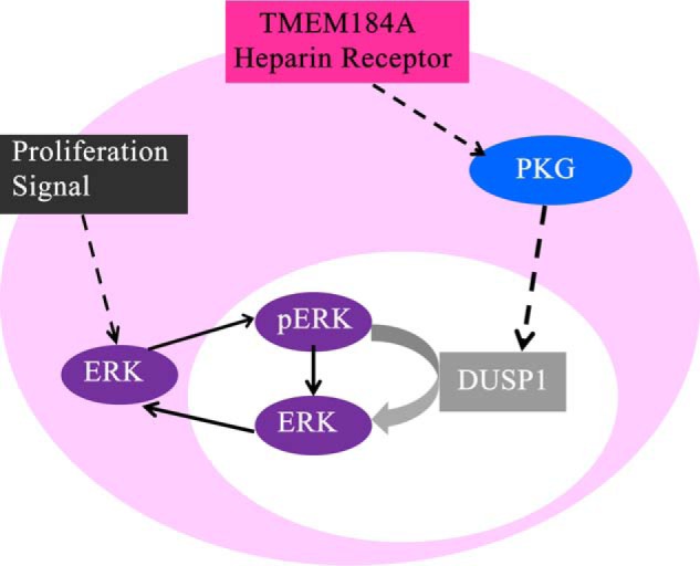 FIGURE 11.