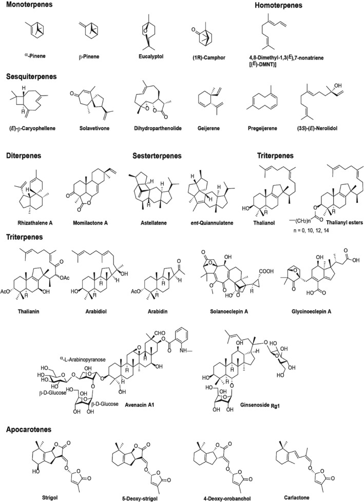 PS-5410-FIG-0002-b