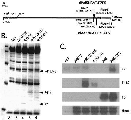 FIG. 4.