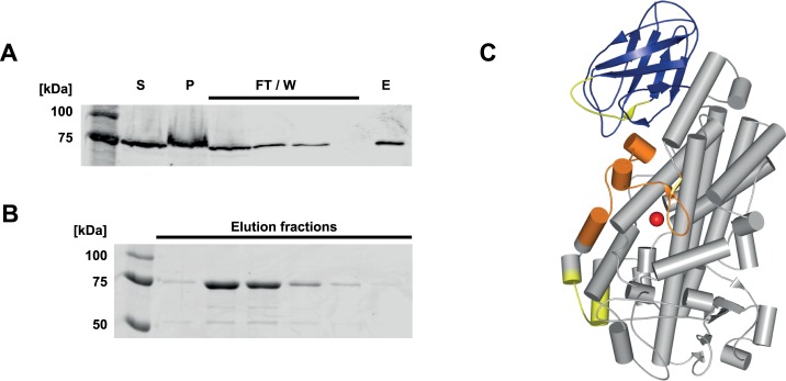 Fig 2