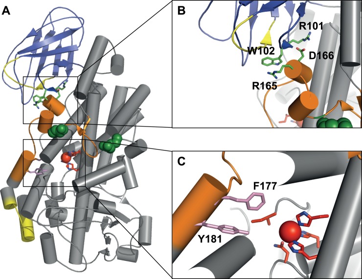 Fig 6