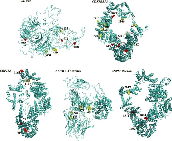 Fig. 4