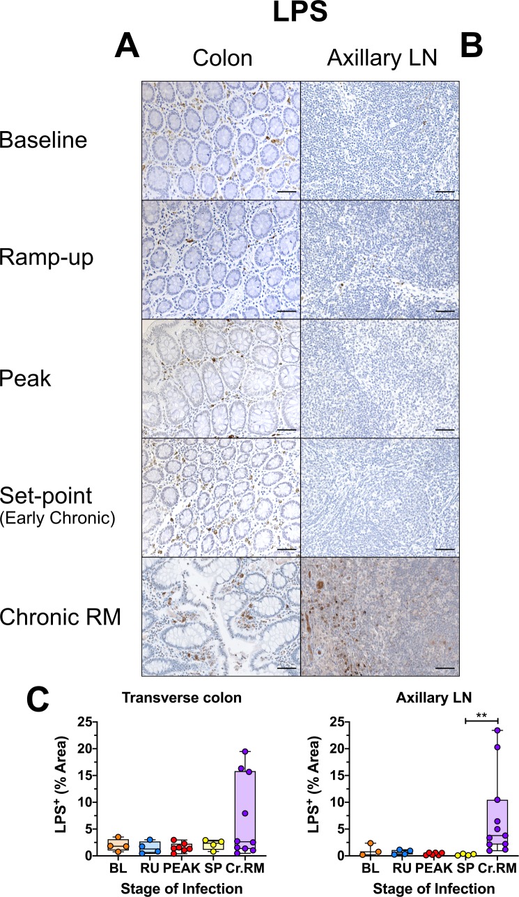 Fig 13