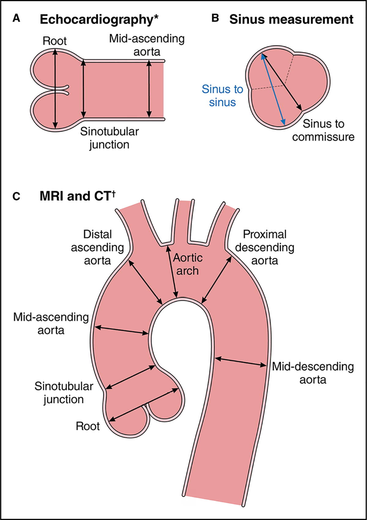 Figure 12.