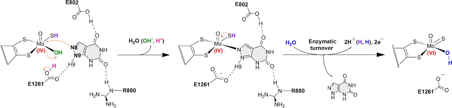 Scheme 2.