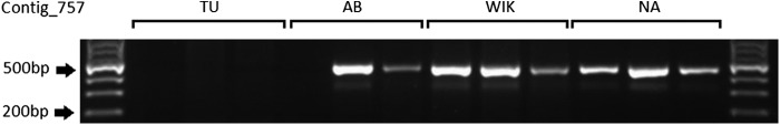 FIG. 6.