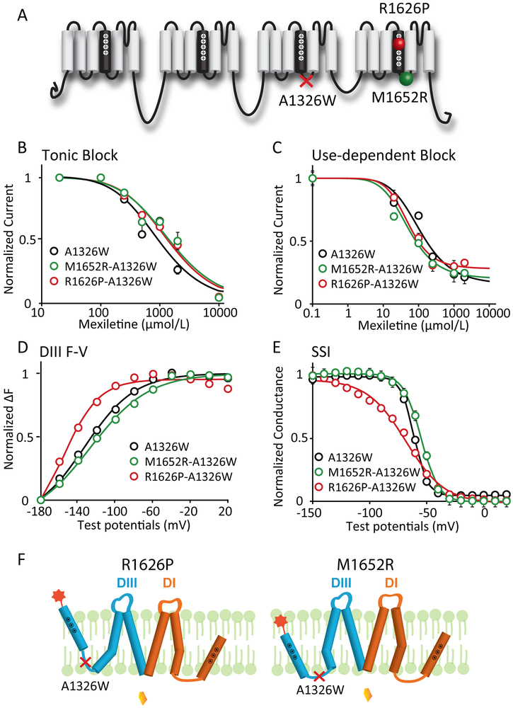 Figure 3: