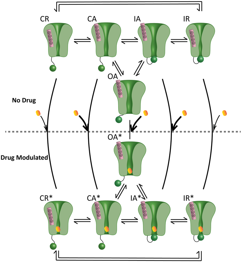 Figure 7: