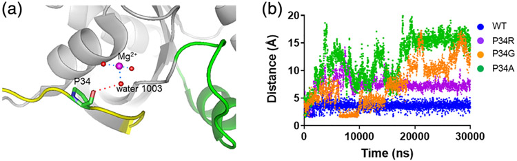 FIGURE 4