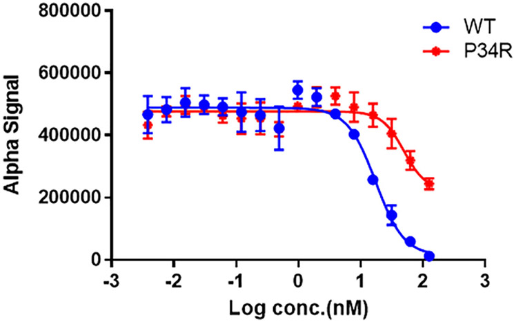 FIGURE 5