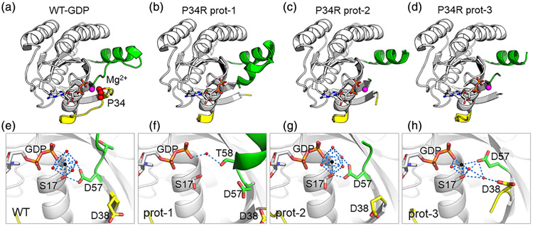 FIGURE 2