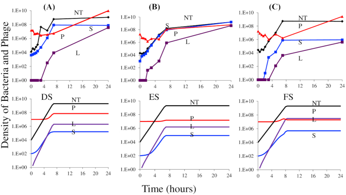 Figure 6.