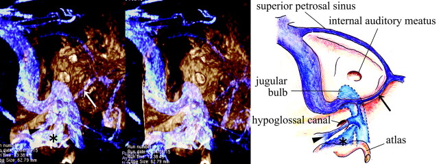 Fig 1.