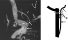 Fig 5.