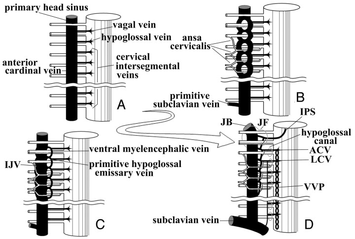 Fig 9.