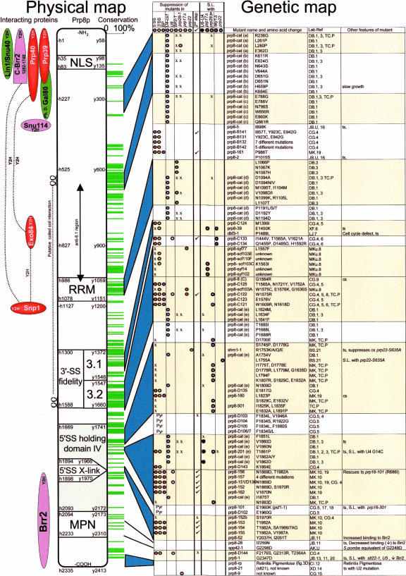 FIGURE 7.