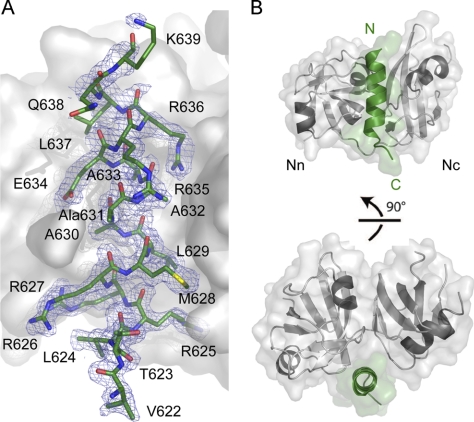 FIGURE 2.