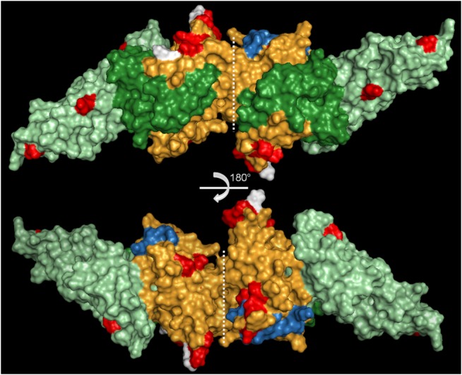 Fig 2