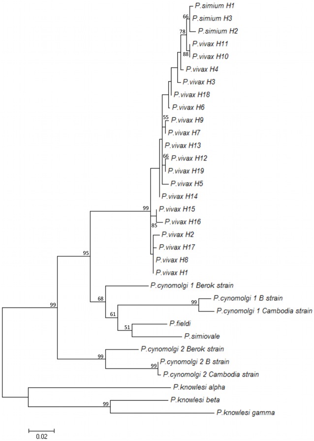 Fig 1