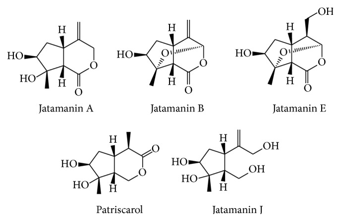 Figure 5