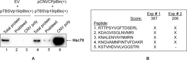 FIG 7