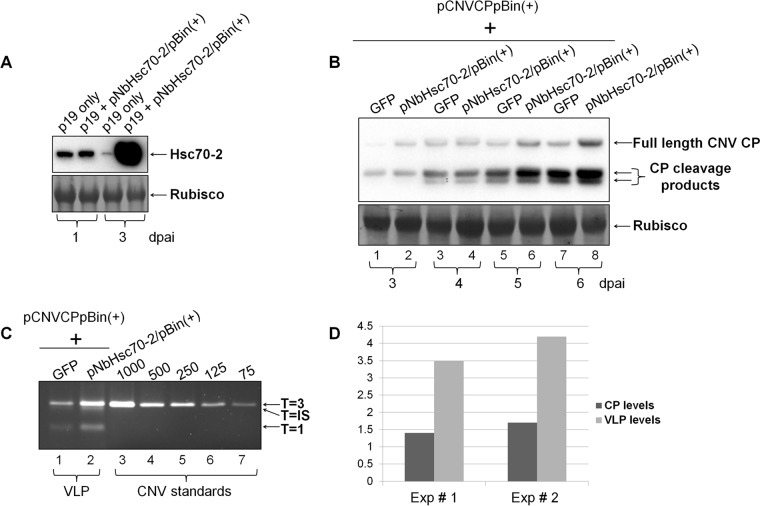 FIG 6