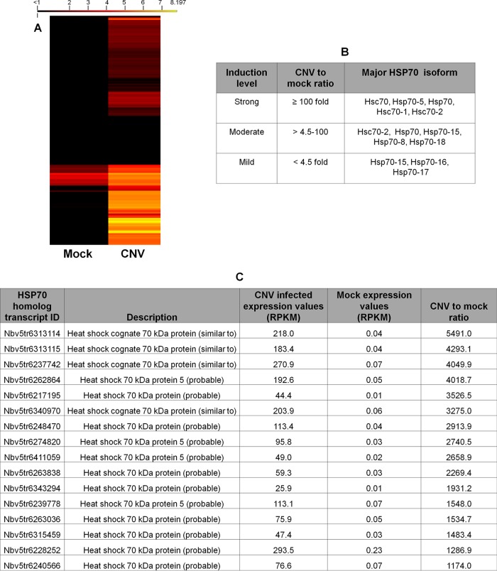 FIG 3