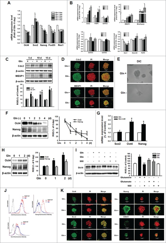 Figure 1 (See previous page).