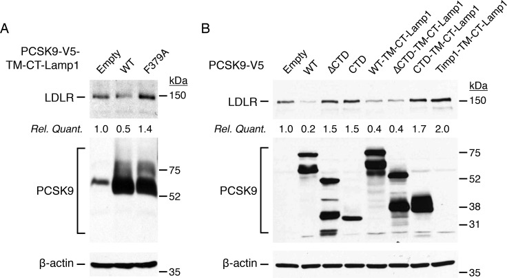Fig 9