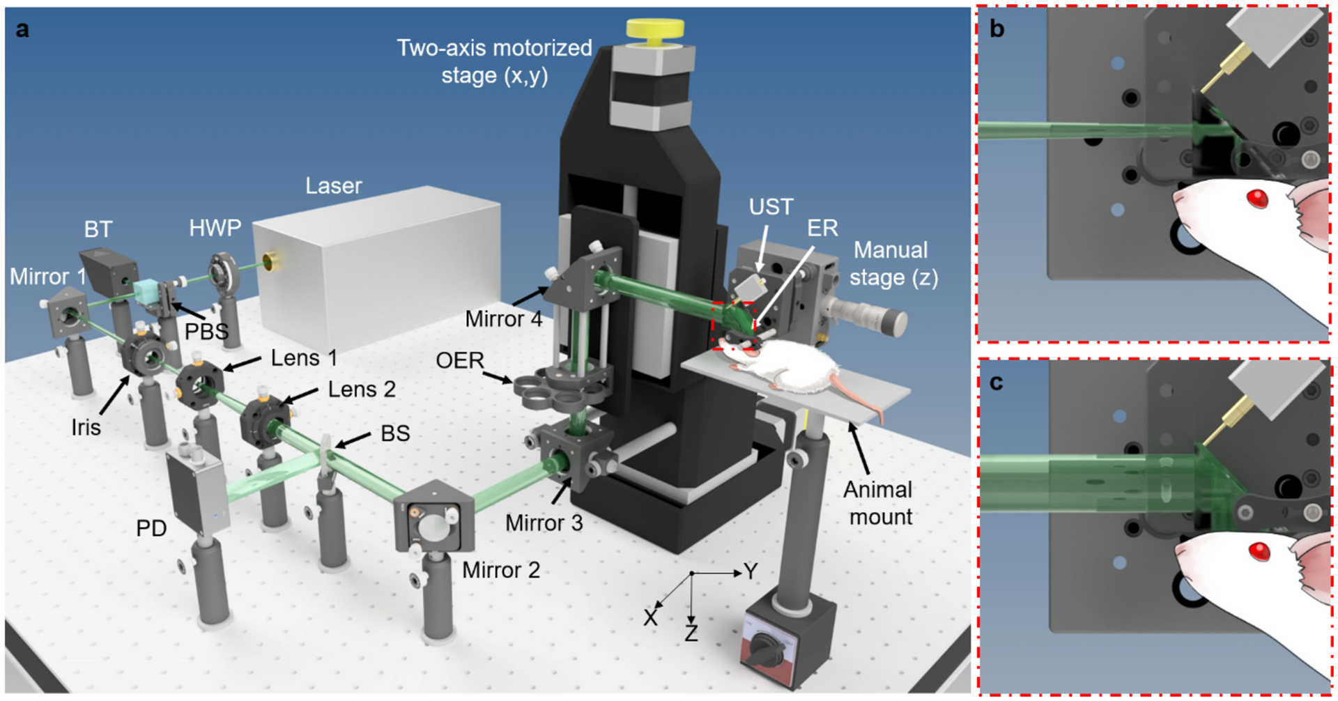 Figure 1.