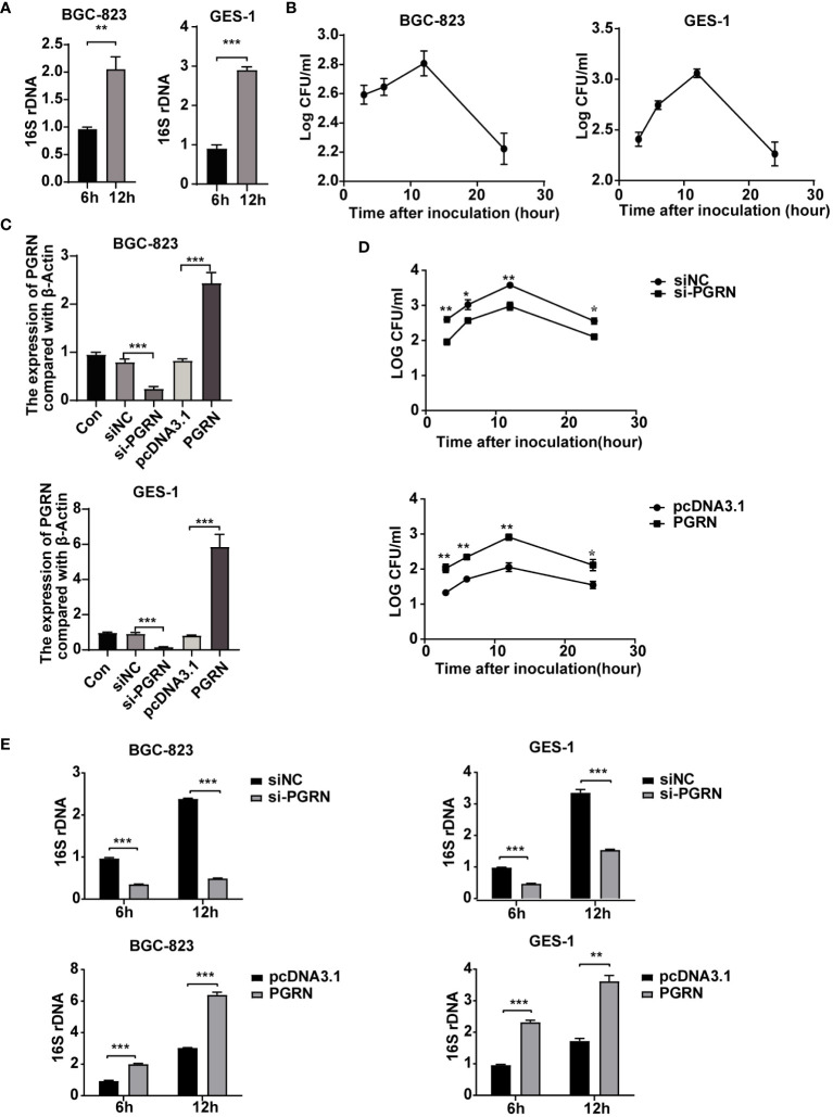 Figure 3