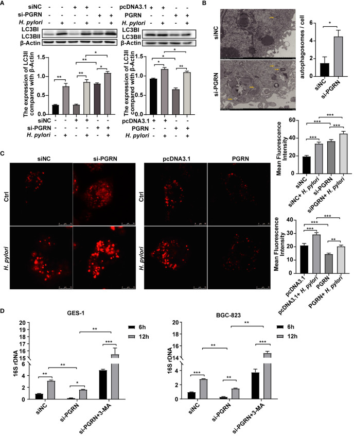 Figure 4