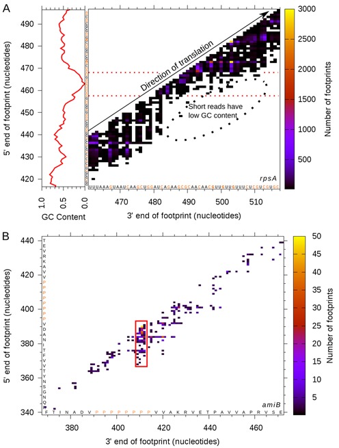 Figure 10.