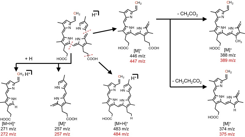 Fig. S4.