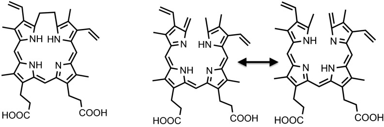 Fig. S8.