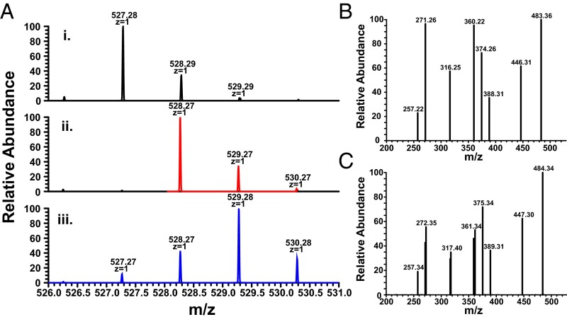 Fig. 3.