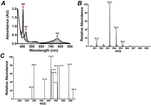 Fig. S3.