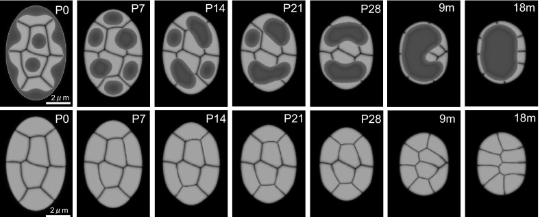 Fig. 4