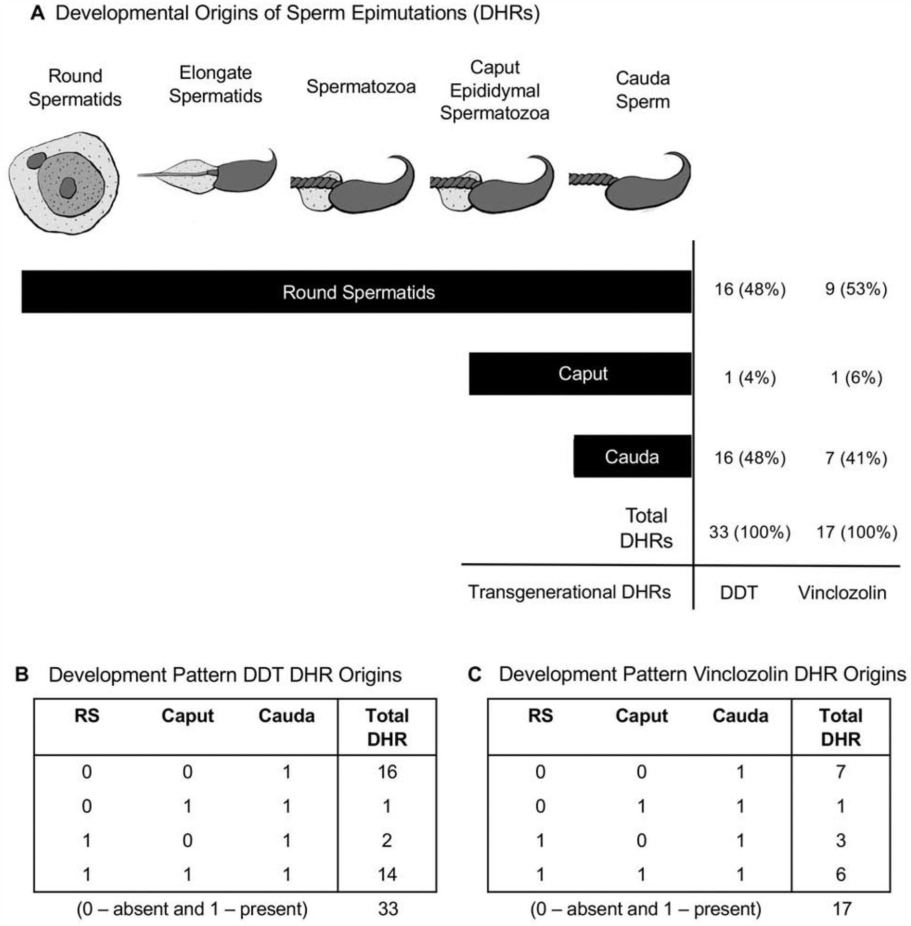 Figure 9.