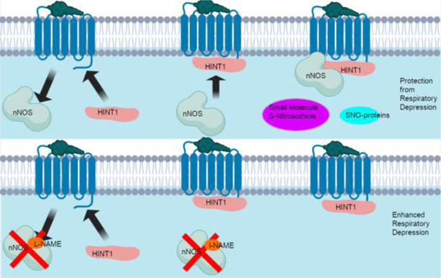 graphic file with name nihms-1767178-f0008.jpg