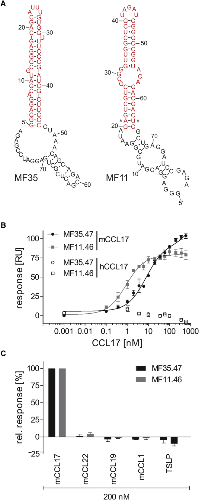 Figure 3