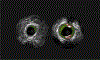 FIG 3.