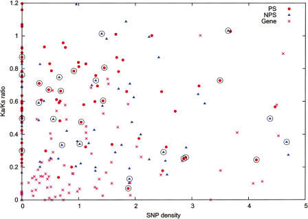 Figure 7.