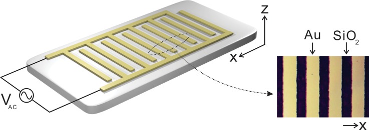 FIG. 1.