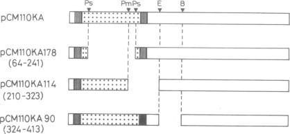 graphic file with name pnas01042-0219-a.jpg