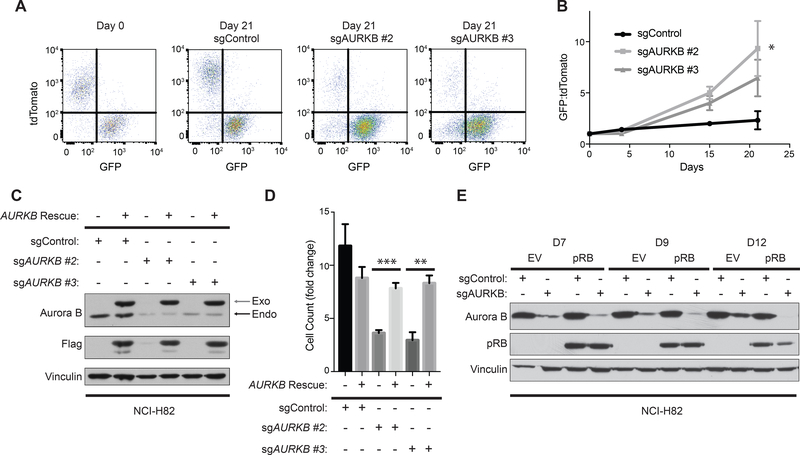 Figure 2: