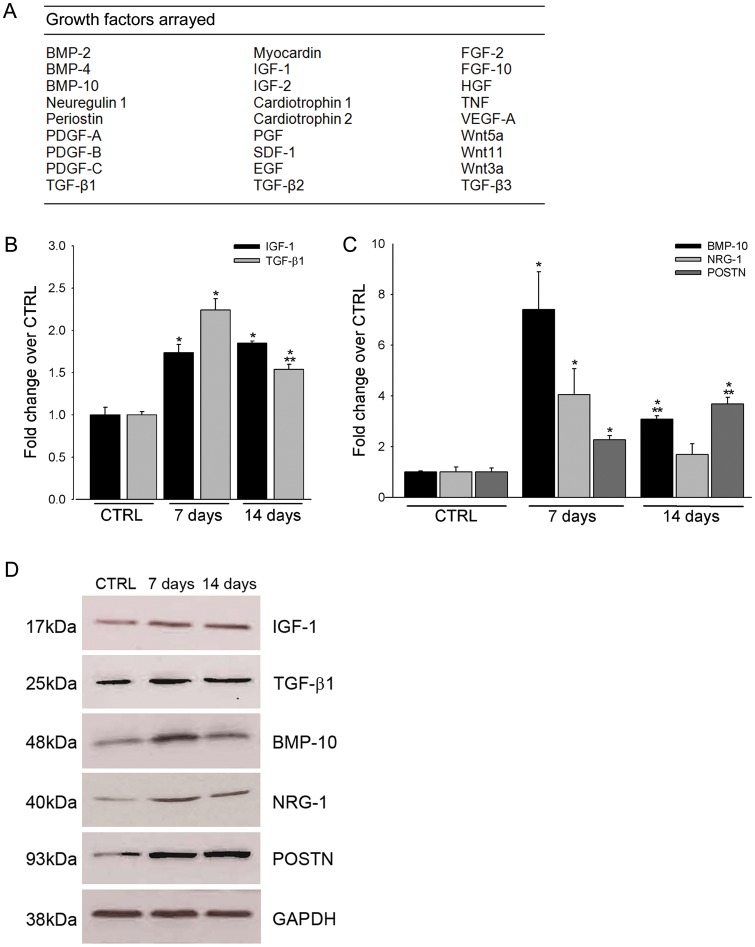 Figure 5