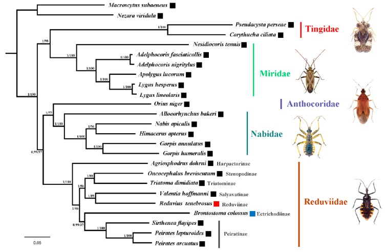 Figure 7