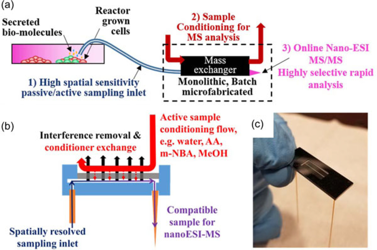 FIGURE 1